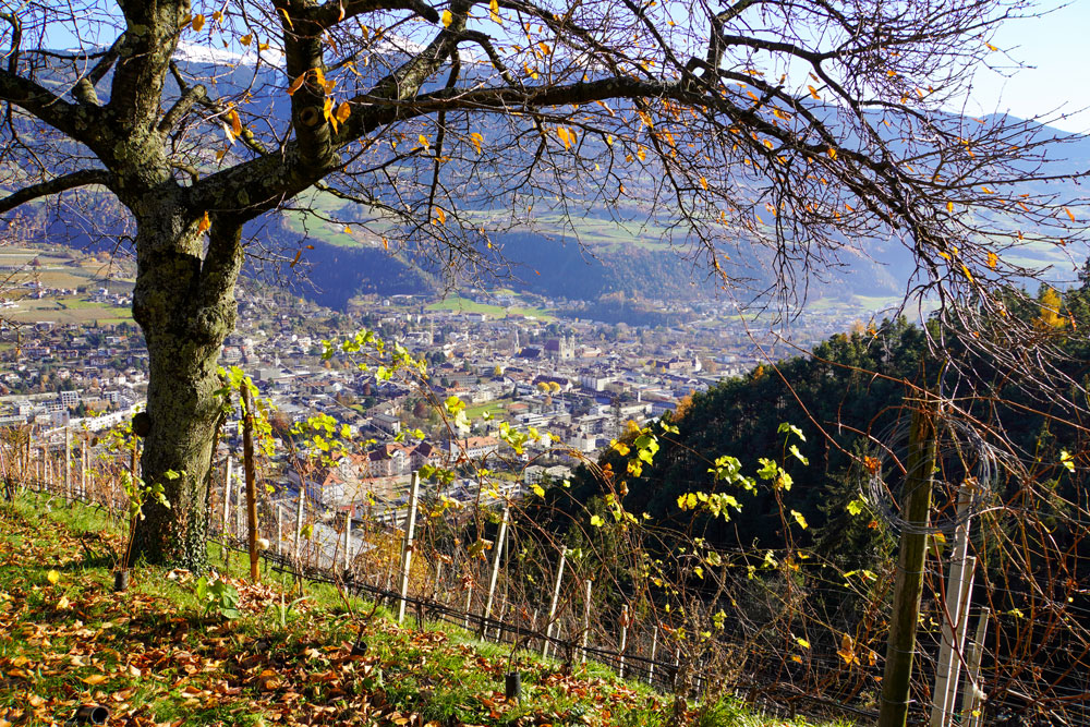 Gruppenreisen Wandern Herbst Kastanienweg